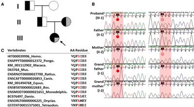 Case report: Compound heterozygosity in PKLR gene with a large exon deletion and a novel rare p.Gly536Asp variant as a cause of severe pyruvate kinase deficiency